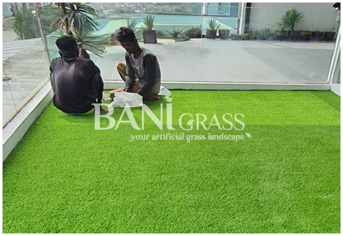 Penyambungan Rumput