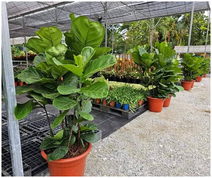 Contoh Pokok 7